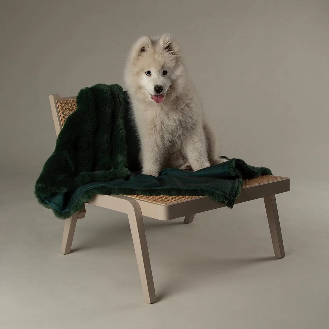 Scruffs Festive Fur Pet Blanket - Green