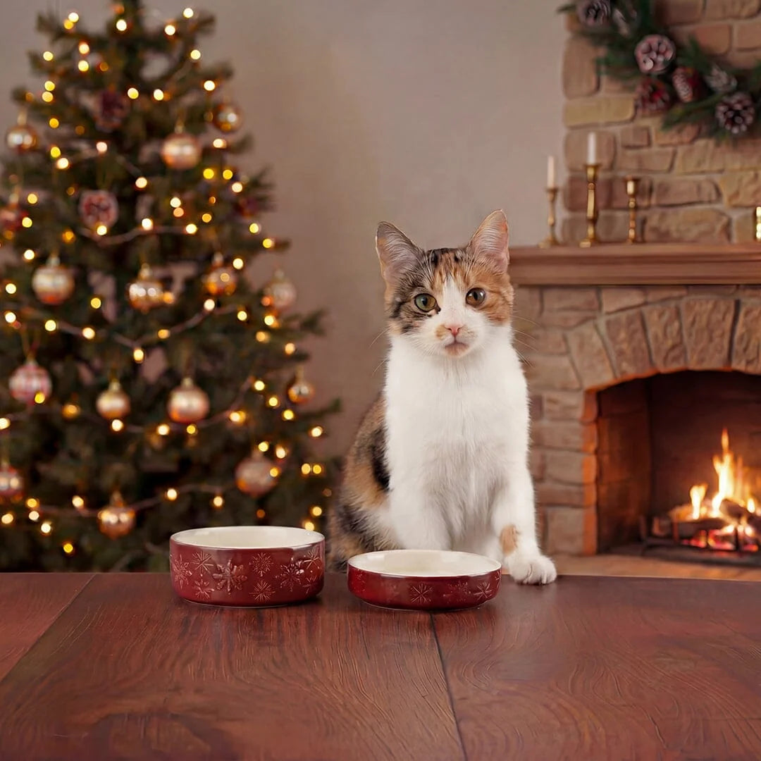 Scruffs Snow Bowl Food & Saucer Gift Set - Burgundy