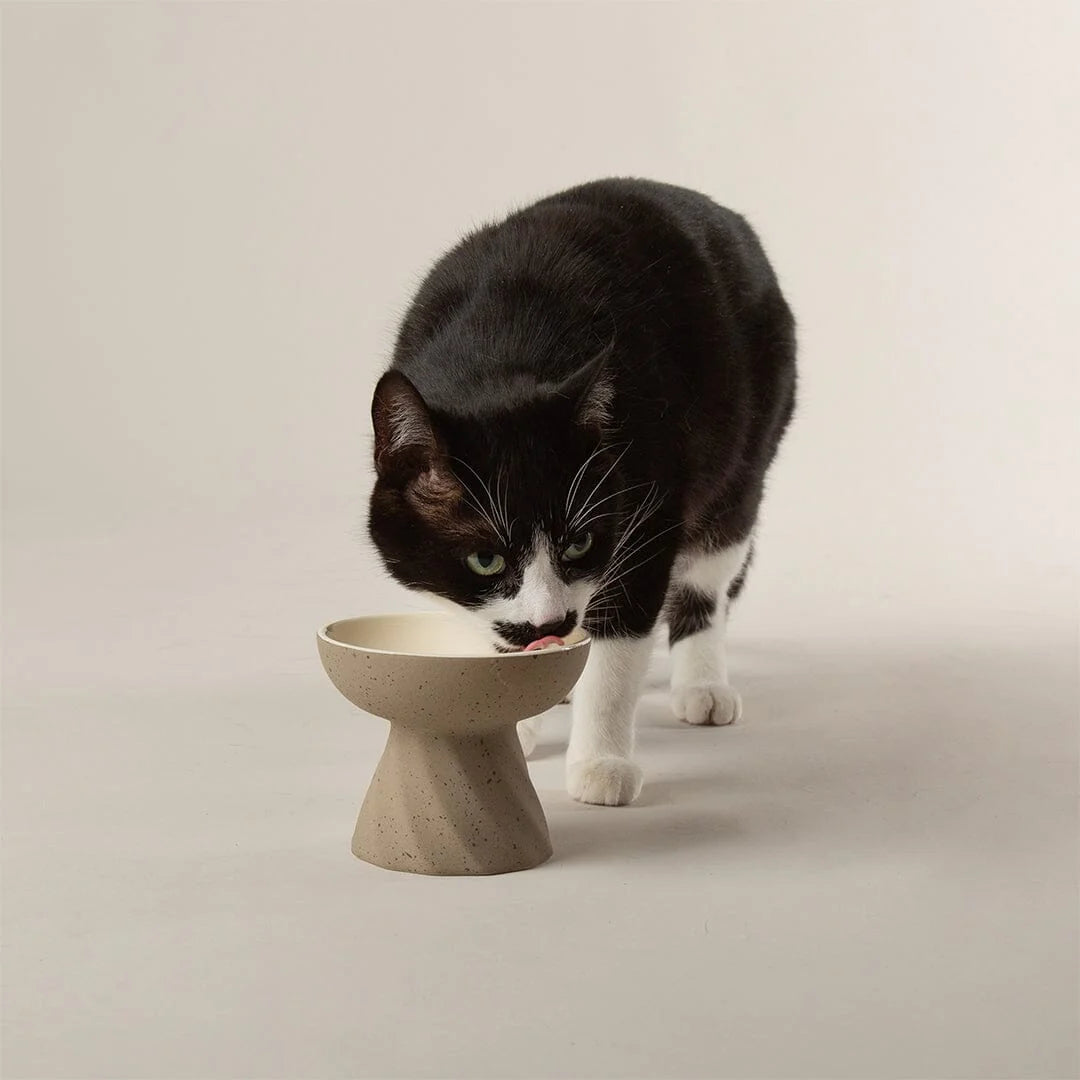 Zen 2 Piece Raised Cat Feeder & Saucer Set - Brown