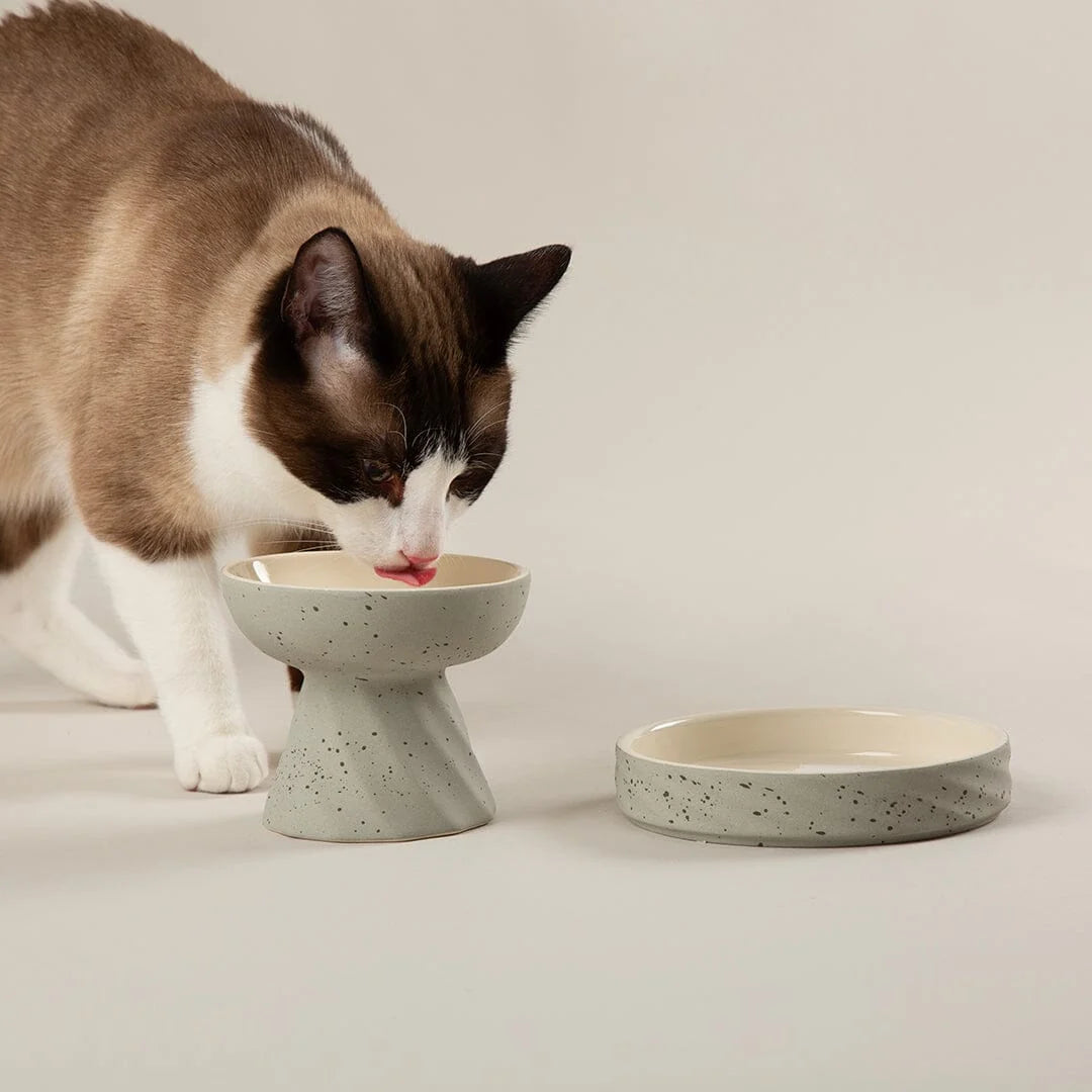 Zen 2 Piece Raised Cat Feeder & Saucer Set - Grey