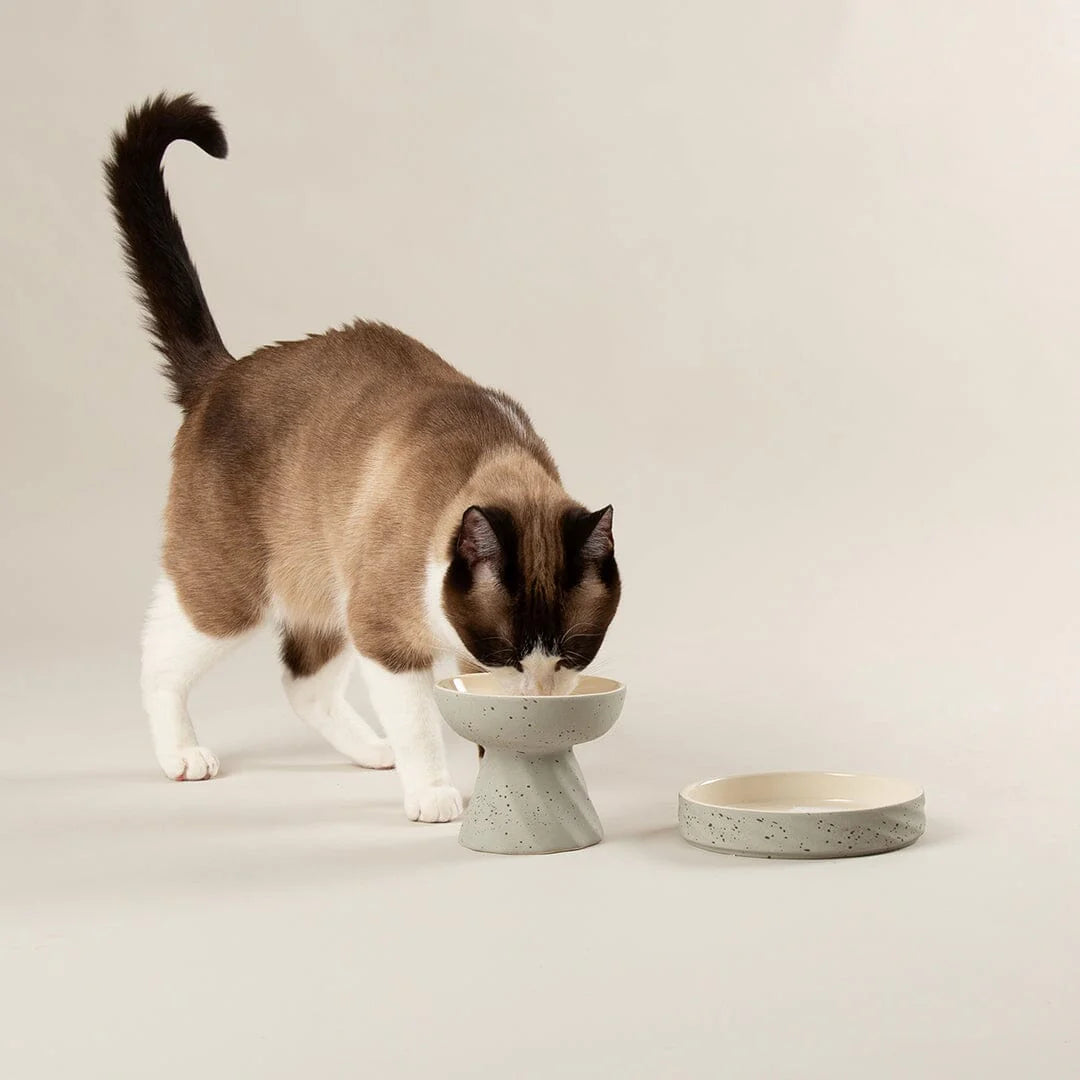 Zen 2 Piece Raised Cat Feeder & Saucer Set - Grey