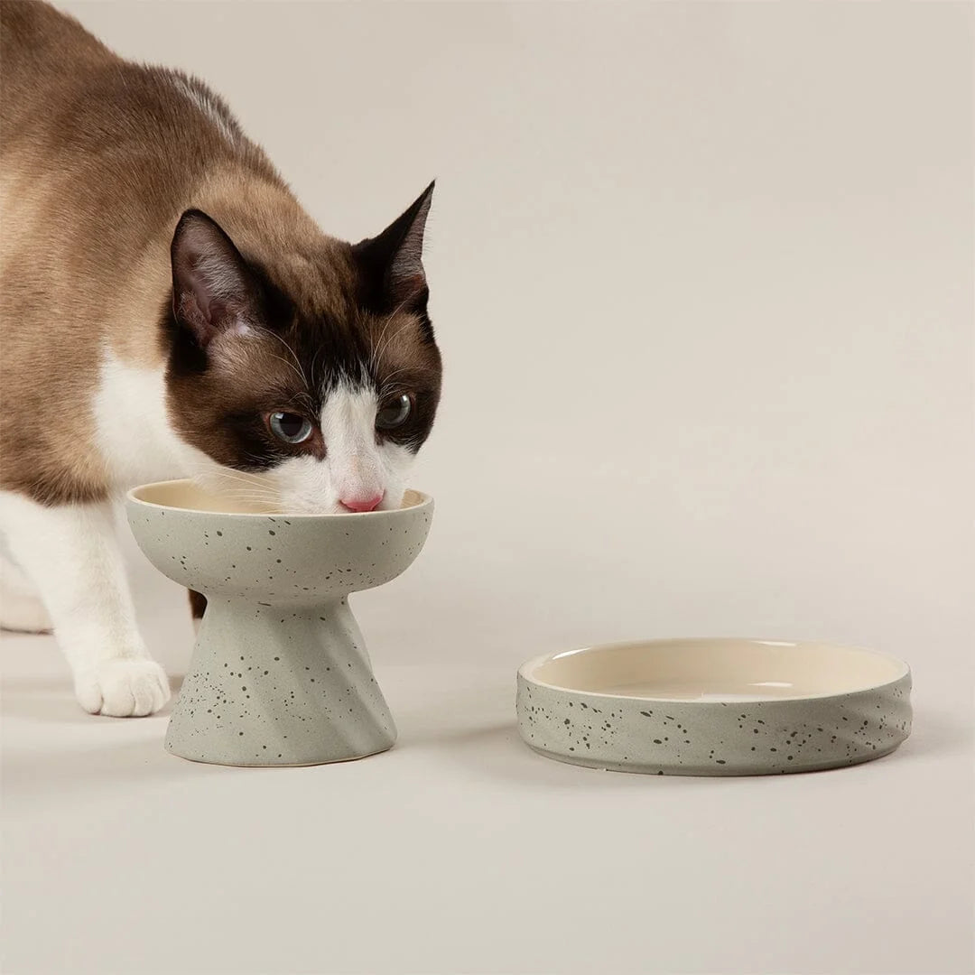 Zen 2 Piece Raised Cat Feeder & Saucer Set - Grey