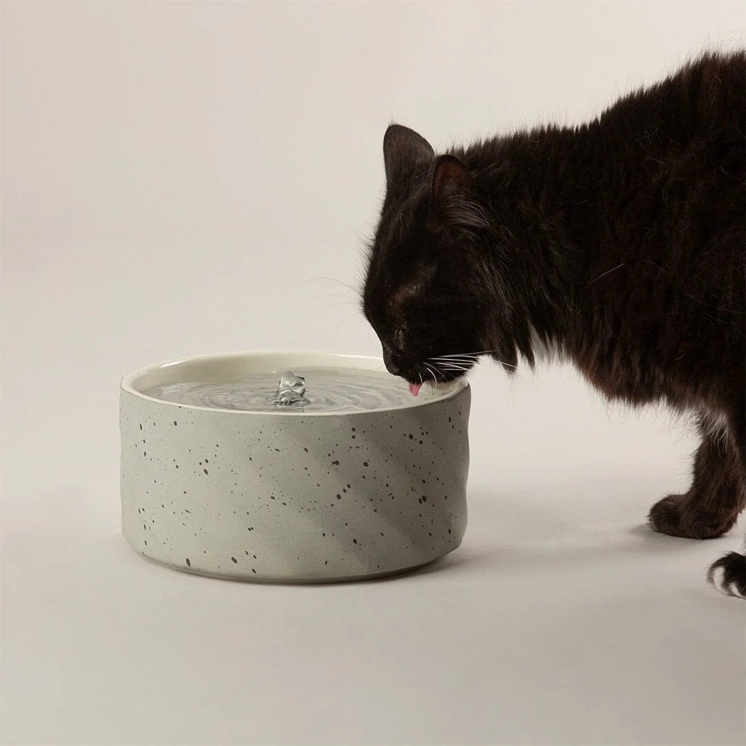 Zen Cat Water Fountain 20cm - Grey