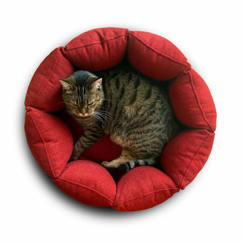 Luxury Bloom Nest Cat Bed