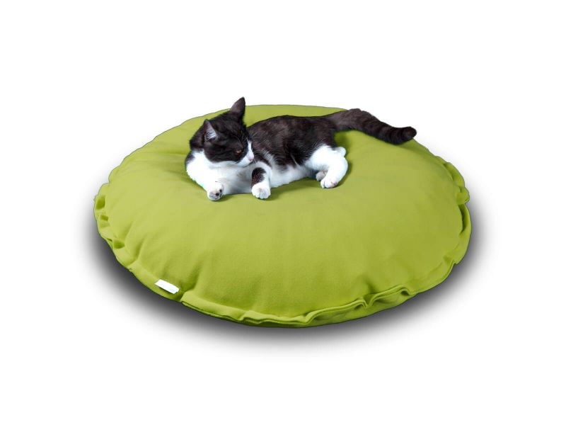 Luxury Divan Uno Cat Bed