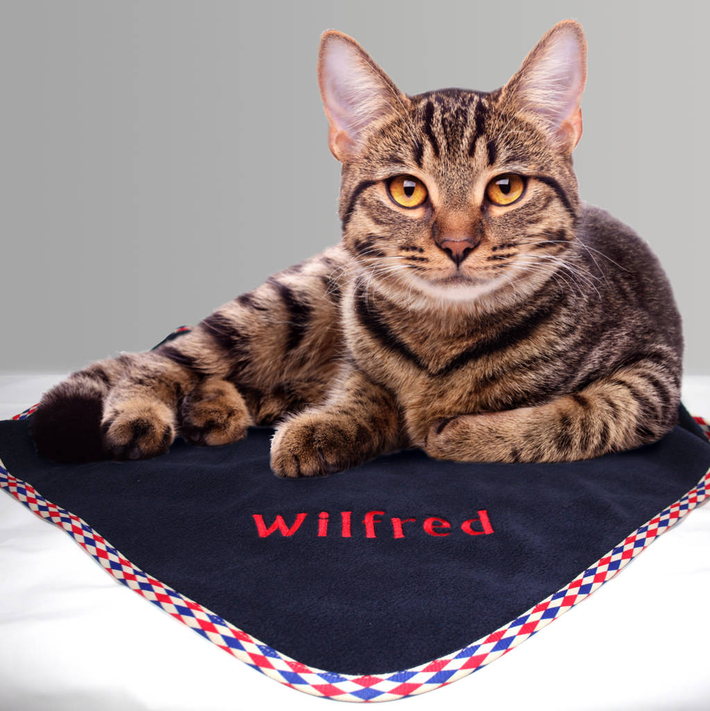 original_personalised-cat-blanket-2