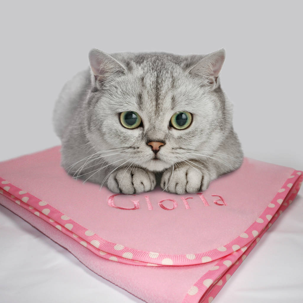 original_personalised-cat-blanket-3
