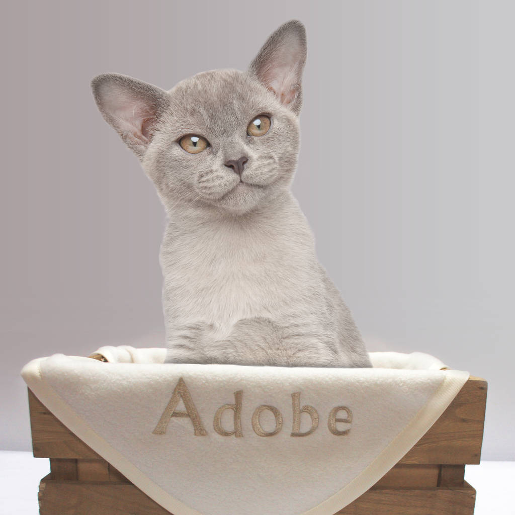 original_personalised-cat-blanket-4