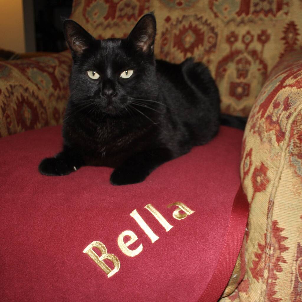 original_personalised-cat-blanket-5