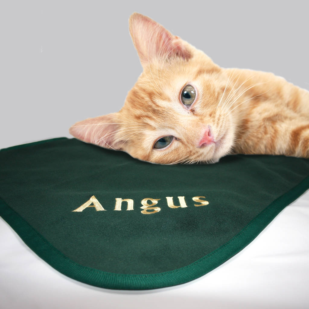 original_personalised-cat-blanket-6