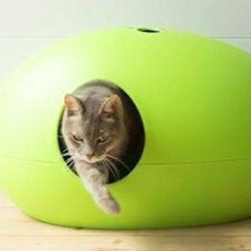 Luxury Green Poopoopeedo Cat Litter Box